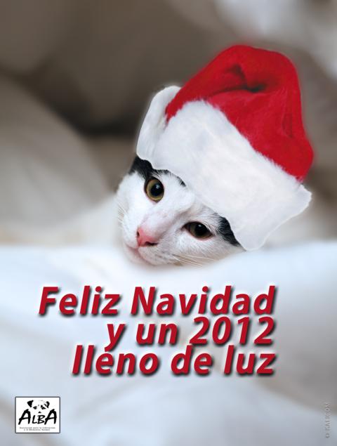 ALBA OS DESEA A TODOS MUY FELICES FIESTAS