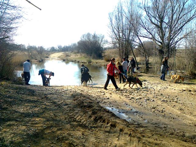 LOS PERROS DE ALBA SALEN DE EXCURSIÓN