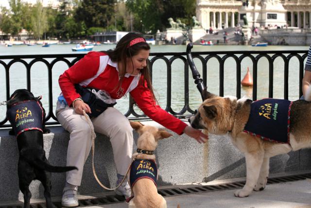 PASEO POR EL RETIRO