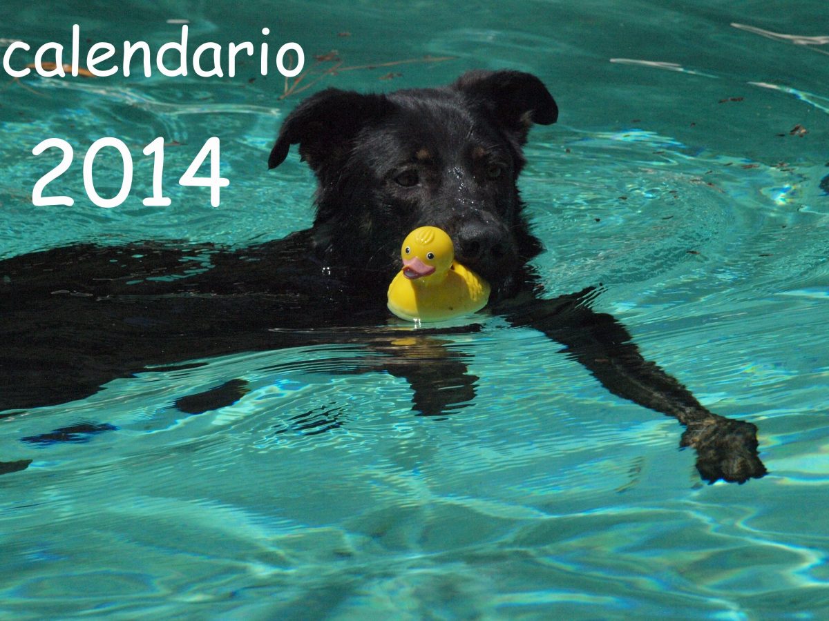 YA ESTÁ DISPONIBLE EL CALENDARIO DE ALBA 2014