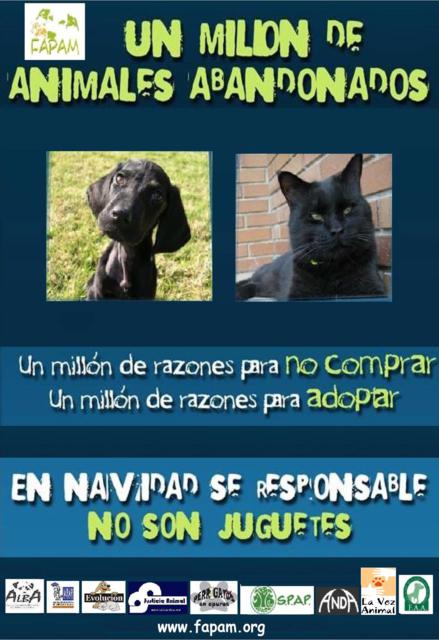 Campaña de Navidad contra el abandono