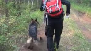 Sobrevive en los bosques de Siberia gracias a su perro